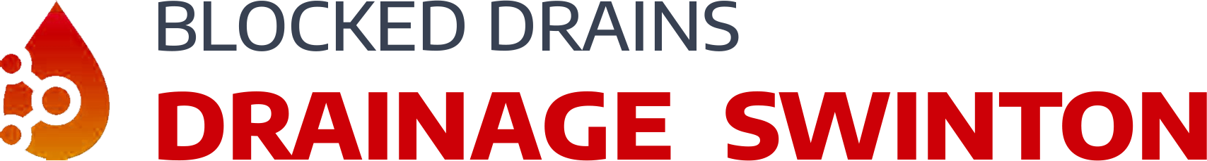 website logo